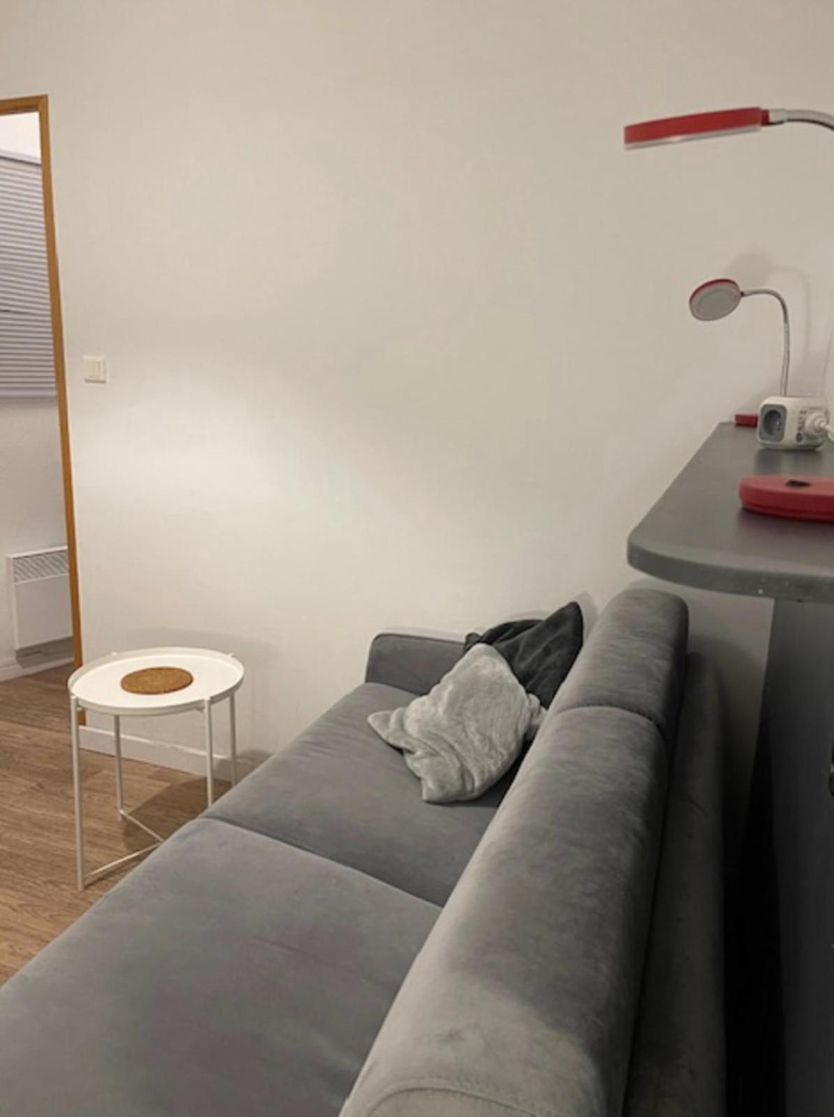 ליון Cosy Studio 16M2 מראה חיצוני תמונה